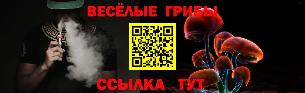Псилоцибиновые грибы MAGIC MUSHROOMS  Вход с VPN  Моздок  Псилоцибиновые грибы ЛСД 
